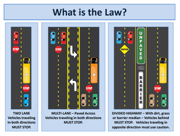 What is the law for stopped school buses